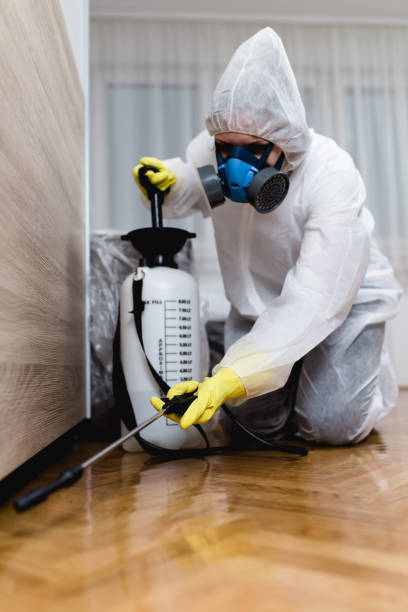 Best Bed Bug Extermination  in USA